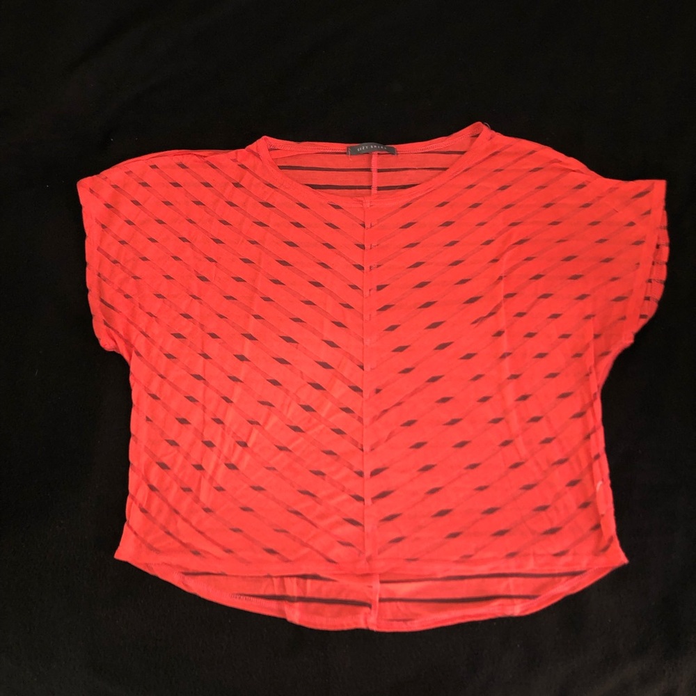 Mesh Chevron Crop Top See Through